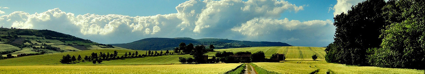 公路隔音声屏障_高速桥梁隔音屏_铁路降噪隔音墙